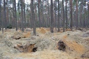 Ковельські школярі написали сценарій про бурштинову мафію