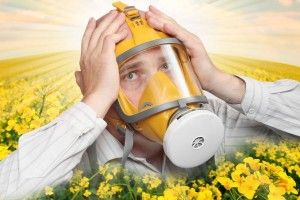 Алергія зачепить і Волинь