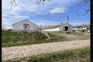На Волині обікрали... свинарник