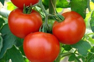 Українців закликали наминати якнайбільше помідорів – аби мати міцні кістки й не хворіти на рак