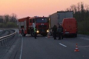 Через лося – подвійна ДТП зі смертельними наслідками: тварина несподівано вискочила під колеса лучанина 