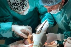 Лікарня, яку очолив волинянин, отримала ліцензію на трансплантацію
