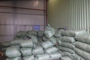 Зайва тонна джинсів на мільйон: на митному посту в Луцьку викрили хитрого імпортера