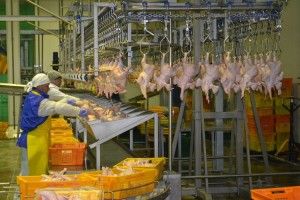 У 2017 р. збільшилося виробництво лише одного виду м’яса