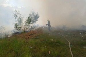 На Волині лише учора 6 разів горіли екосистеми