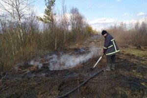 Біля Яревища рятувальники ліквідували пожежу на торфовищі