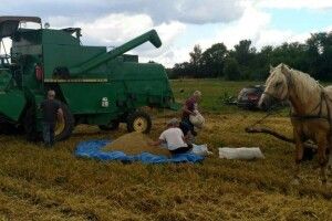 У постраждалих від негоди районах Волині оцінюють збитки від негоди