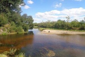 Попри рясні опади, рівень води в річках Волині залишається стабільним