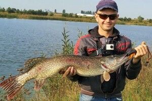 Лучанин упіймав щуку, яка заввиграшки відкусить палець дорослому чоловіку