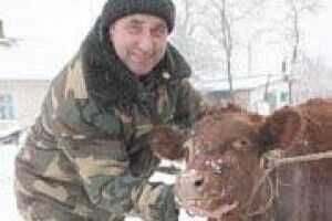 Бичок від «Волині» – справжньому господарю