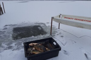 У водосховище на Волині випустили понад дві тонни цінних видів риб (Фото)