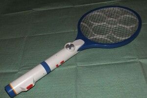  Намагався вбити надокучливу муху, але випадково підірвав свій будинок