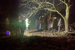 Мікроавтобус врізався в підводу з людьми: дві особи загинуло, водій втік (Фото, відео)
