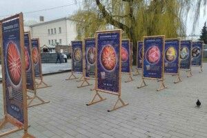 У центрі Луцька з’явилася галерея просто неба (Фото)