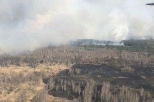 Поліція шукає людей, які займаються підпалами: двох зафіксували на відео