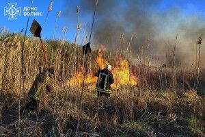 Волинська область – серед регіонів з найбільшою кількістю пожеж в екосистемах за добу 