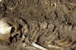 На Волині у різних місцях викопали… скелет і череп