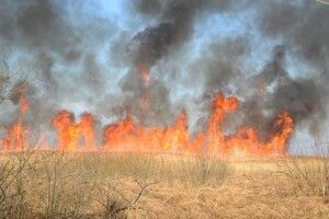 За минулий тиждень волинські рятувальники ліквідували 49 пожеж