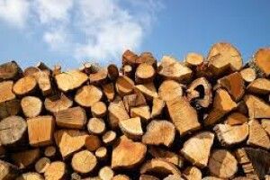 Зручно: волиняни можуть купити дрова онлайн