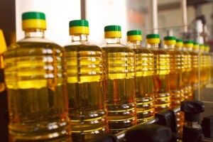 Українську олію споживають у 124 країнах світу