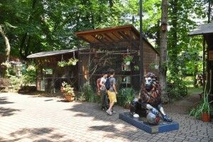 Браконьєрська здобич поїхала до Луцького зоопарку