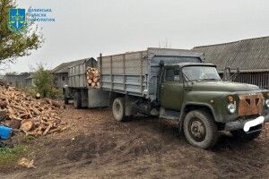 На Волині викрили злочинну організацію лісокрадів (Фото)