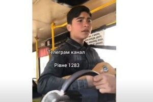 Маленький ром став зіркою рівненських маршруток (Відео)