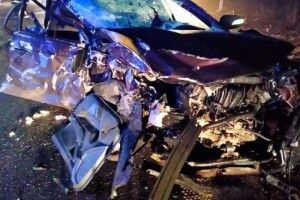 Виїхав на зустрічку: відомі деталі смертельної автотрощі, де постраждали заробітчани (Відео)