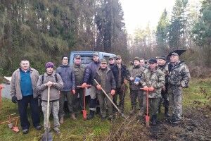 У Цуманській пущі побільшало липи дрібнолистої та сосни звичайної