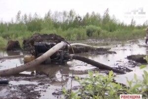 Мешканця Волині засудили за незаконне видобування бурштину