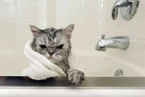 У Луцьку на деяких вулицях немає гарячої води: коли ввімкнуть