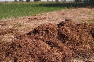 Волинянин обікрав ферму