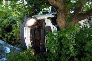 Мікроавтобус врізався в дерево: загинуло п’ятеро людей
