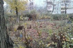 У Луцьку муніципали борються з грядками під балконами 