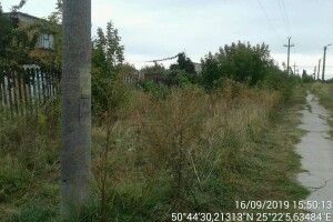 У Луцьку гаражний кооператив довів до ручки прилеглу територію: у бур'янах вже й жирафи можуть ховатися 