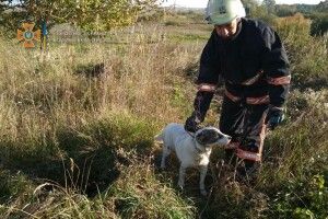На Волині врятували собаку, який потрапив у пастку