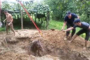 На Закарпатті рятували коня, який заскочив до криниці