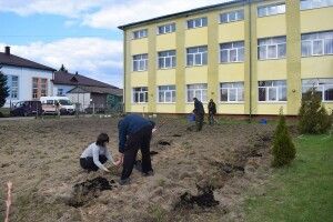 У громаді на Волині висадили 200 кущів троянд (Фото)