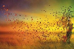 «Я була деревом…»