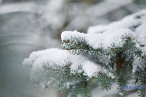 Сьогодні синоптики обіцяють волинянам морозець