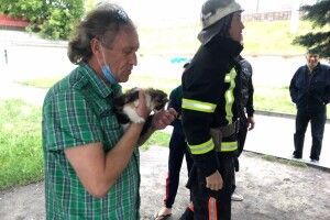 У Ковелі бійці ДСНС штурмували ялину: все задля порятунку кошеняти-верхолаза (Фото)