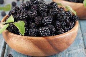 В Україні зросла популярність шовковиці