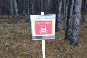 На півночі Рівненщини замінували ліси