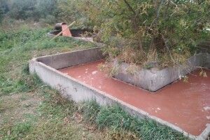 Розпочато кримінальне провадження за фактом забруднення земель у Володимир-Волинському районі (Фото)