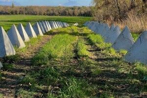 Російське керівництво вважає реальною загрозу нападу України на територію РФ — британська розвідка