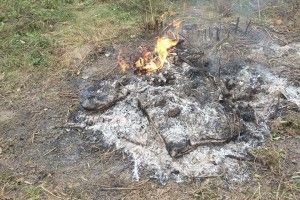 Двох лучан покарають за розкладені у дворах вогнища