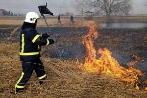 На Волині невідомі підпалили суху траву