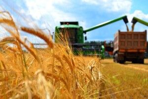 На Волині виробництво аграрної продукції впало на 10 відсотків