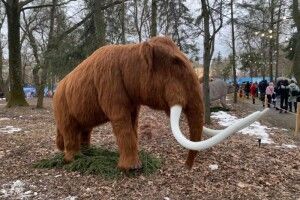 У Рівному відкрили парк динозаврів реальних розмірів (Фото)