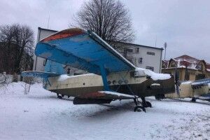 У Ковелі продають літаки